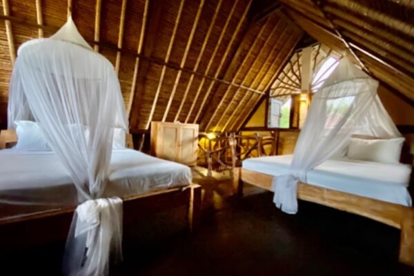 rt_190d82a8-00f0-475b-8858-a9830c9be3bc_1579666434 rt_190d82a8-00f0-475b-8858-a9830c9be3bc_1579666434