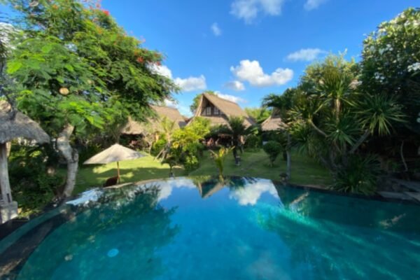 rt_1e535703-7c2e-494a-af81-5c988bc36754_1579666434 rt_1e535703-7c2e-494a-af81-5c988bc36754_1579666434