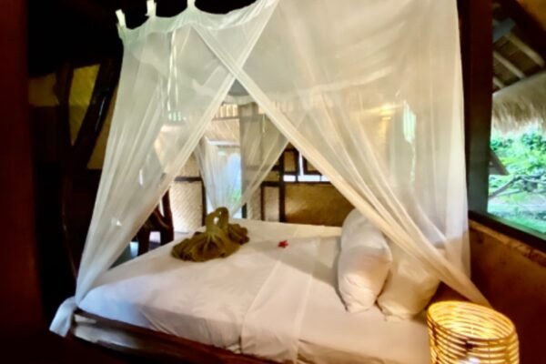 rt_36c90d93-d9cb-4e2e-a449-f156c9aa8e0d_1579665668 rt_36c90d93-d9cb-4e2e-a449-f156c9aa8e0d_1579665668