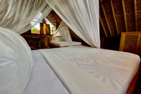 rt_3d76f800-07d6-4385-bed1-3813bc27142e_1579666430 rt_3d76f800-07d6-4385-bed1-3813bc27142e_1579666430