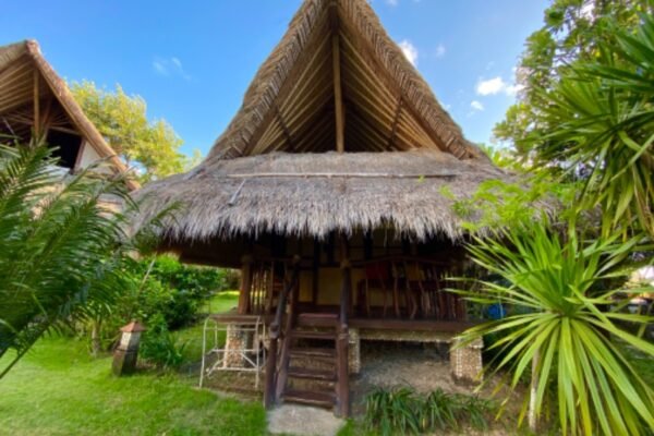 rt_a2cd9694-6e1b-41f4-8a48-37a7d6f7eab7_1579664994 rt_a2cd9694-6e1b-41f4-8a48-37a7d6f7eab7_1579664994