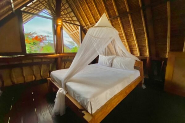 rt_bb556563-4341-4223-8224-8b738061ed31_1579666434 rt_bb556563-4341-4223-8224-8b738061ed31_1579666434